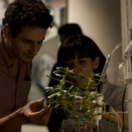 Pulsum_Plantae_FONCA_LG_23